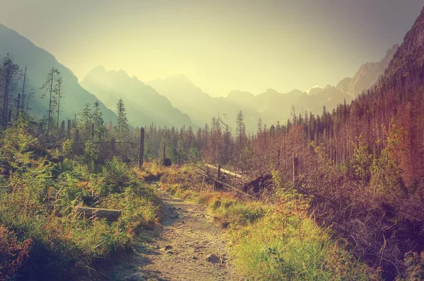 Verão paisagem de montanha em estilo vintage . — Fotografia de Stock