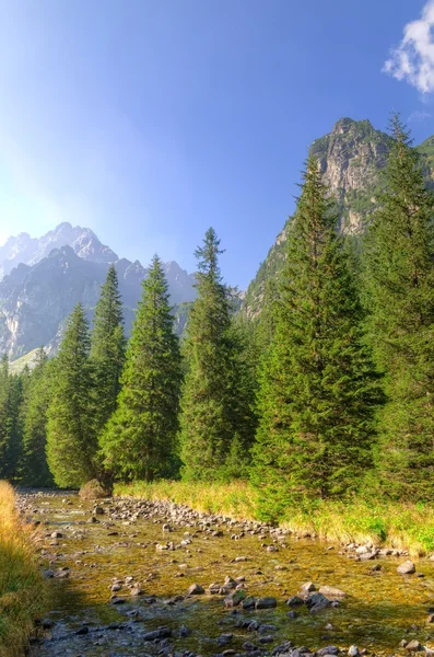 Verão paisagem de montanha. — Fotografia de Stock