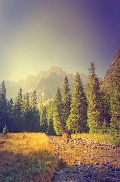 Verão paisagem de montanha em estilo vintage . — Fotografia de Stock