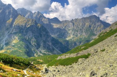 Yaz dağı manzarası. 