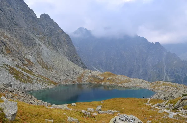 Sommerliche Berglandschaft. — Stockfoto