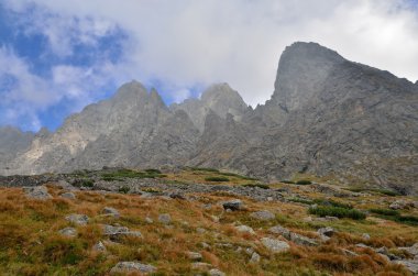 Yaz dağı manzarası. 