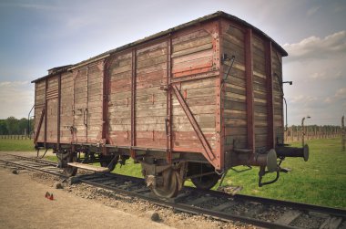 Konsantrasyon kampı Auschwitz-Birkenau II Brzezinka, Polonya.