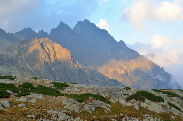 Paysage de montagne d'été. — Photo