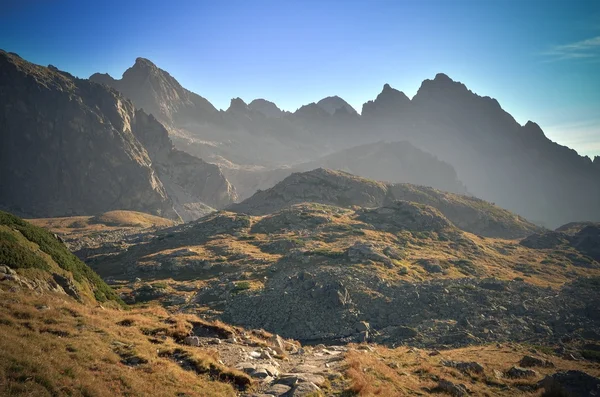 Verão paisagem de montanha. — Fotografia de Stock