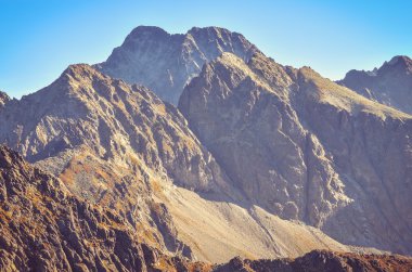 Yaz dağı manzarası. 