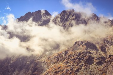 Yaz dağı manzarası. 