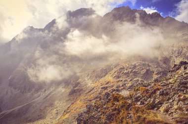 Yaz dağı manzarası. 