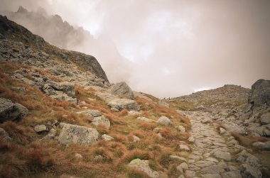 Bulutlu dağ manzarası. 