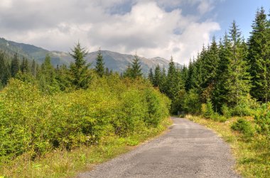 Yaz dağı manzarası. 