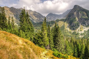 Yaz dağı manzarası. 