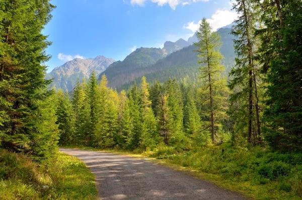 Sommerliche Berglandschaft. — Stockfoto