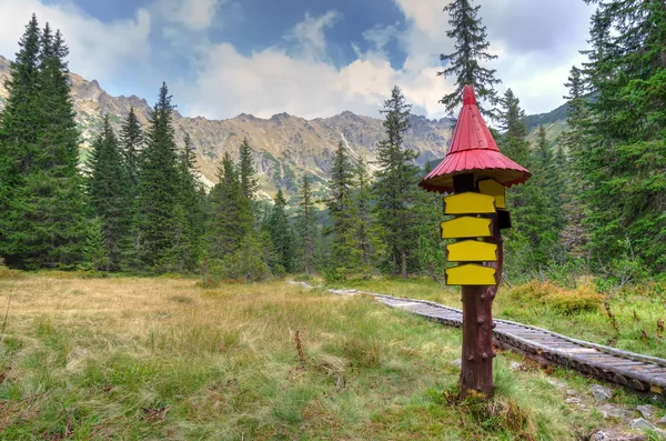 Verão paisagem de montanha. — Fotografia de Stock