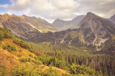 güzel dağ manzarası. 