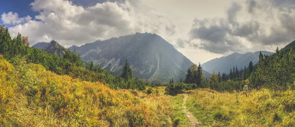 Sommer-Bergpanorama. — Stockfoto