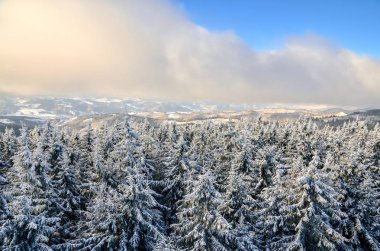 Kış Dağı Manzarası. 