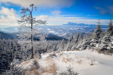 Kış Dağı Manzarası. 