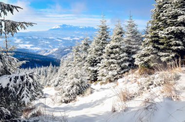 Kış Dağı Manzarası. 