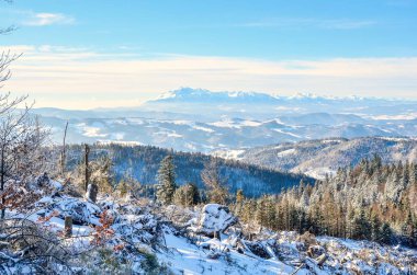 Kış Dağı Manzarası. 