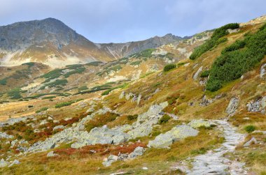 sonbahar dağ manzarası. 