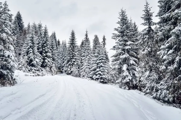 Paisaje de montaña de invierno. Imagen De Stock