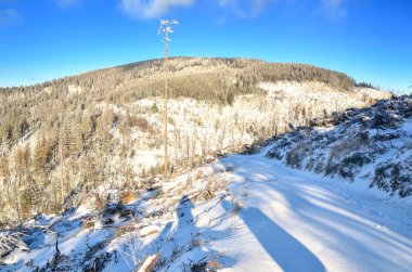 Kış Dağı Manzarası. 