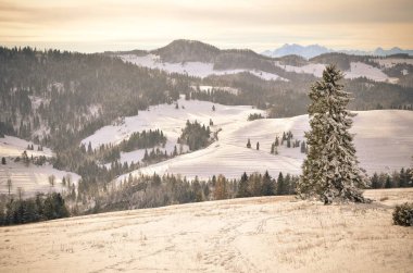 Kış Dağı Manzarası. 