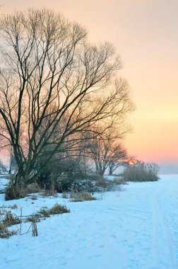 sabah kış manzarası. 