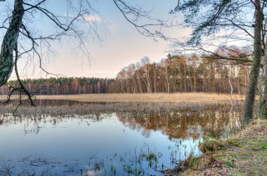 Bahar doğa manzara. 