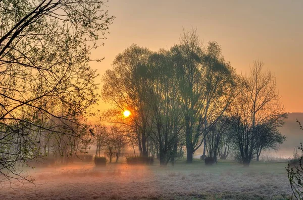 Primavera mañana paisaje al amanecer . Imagen De Stock