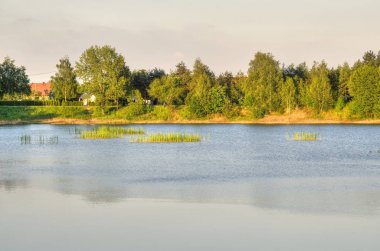 Bahar öğleden sonra manzara. 