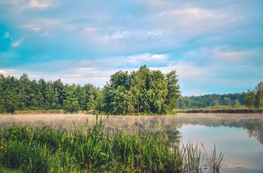 Göl kenarında doğa manzara. 