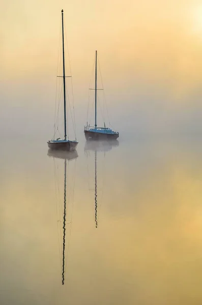 Paysage matinal brumeux minimaliste . — Photo