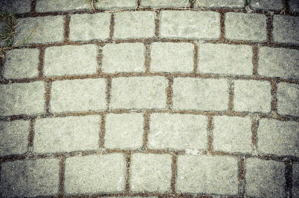 Gray concrete pavement tiles.