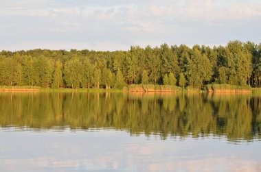 güneşli yaz peyzaj. 