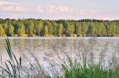 güneşli yaz peyzaj. 