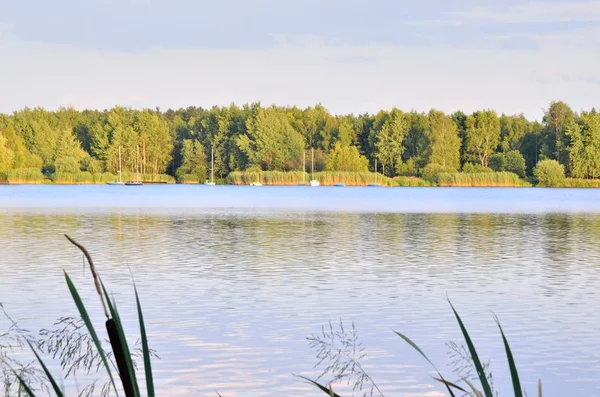 Göl güneşli bir öğleden sonra. 