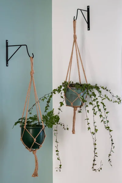 Macrame duo — Stock Photo, Image