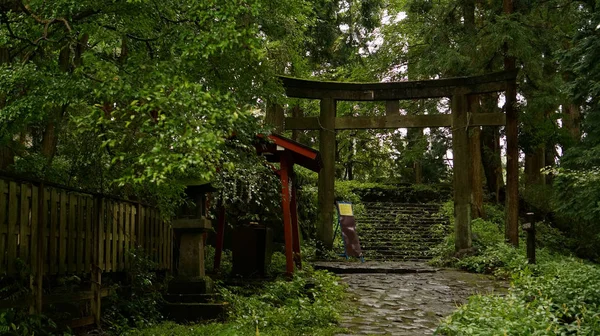 Old torii gate in forest in Nikko, rainy autumn day, Japan.