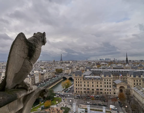 Gárgola Piedra Techo Catedral Notre Dame París Francia —  Fotos de Stock
