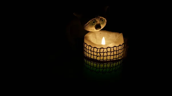 Kattenbeeldje Een Brandende Kaars Het Donker — Stockfoto