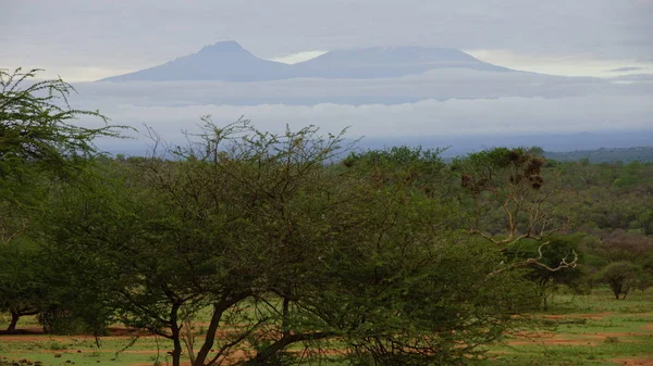アフリカのサバンナとケニアの背景の山の風景アフリカ — ストック写真