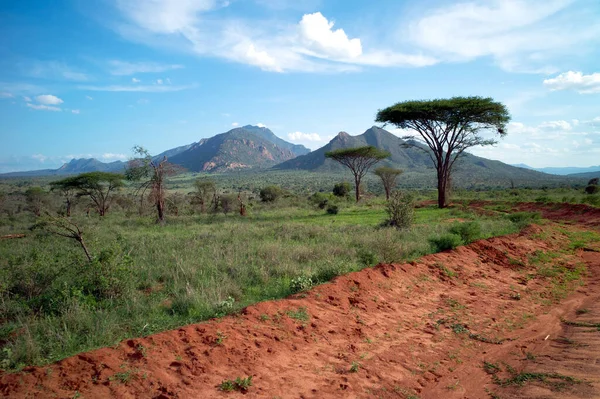 アフリカのサバンナからアフリカのケニアの国立公園を背景に山への赤い道の風景 — ストック写真