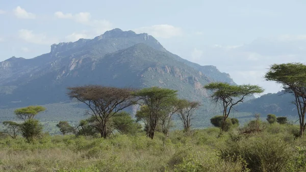アフリカのサバンナとケニアの背景の山の風景アフリカ — ストック写真