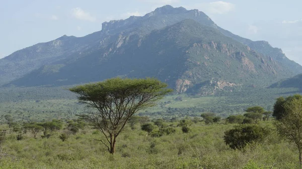 Krajobraz Afrykańskiej Sawanny Góry Tle Kenii Afryce — Zdjęcie stockowe