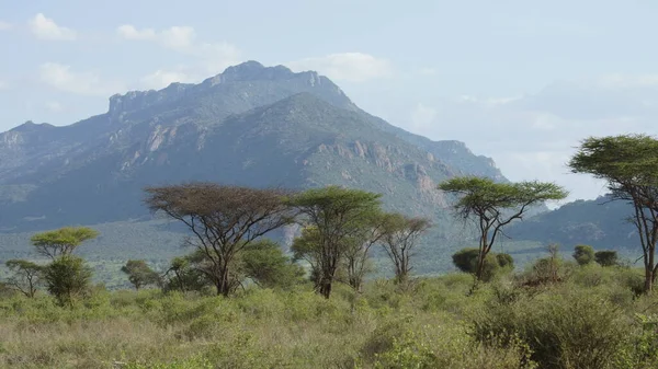 Landscape of the African savanna and the mountain in the background in Kenya in Africa.