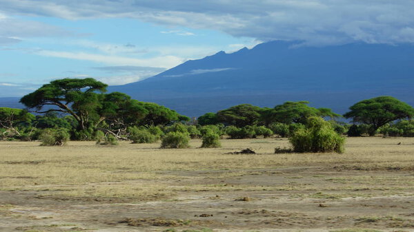 Landscape of the African savanna and the mountain in the background in Kenya in Africa.