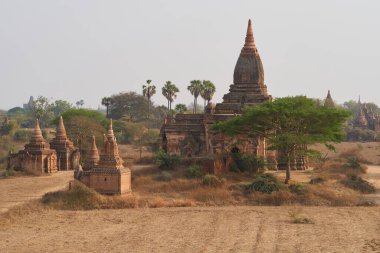 Bagan, Myanmar, Burma 'daki antik tapınakların manzarası.  
