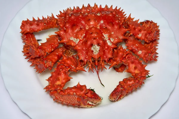 Cooked Kamchatka Red King Crab White Plate — Stock Photo, Image