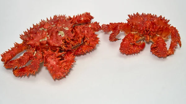 Два Изолированных Сырых Камчатского Красного Королевского Краба — стоковое фото